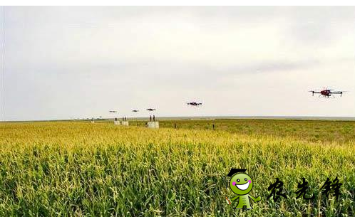 數(shù)據(jù)對于農業(yè)存在什么影響