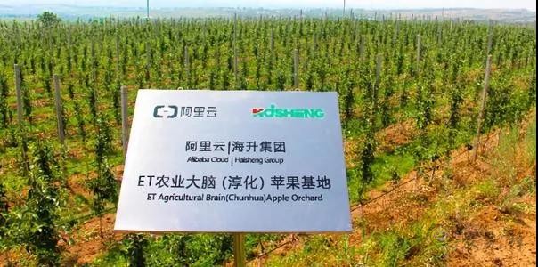 看數(shù)字農(nóng)業(yè)如何為中國農(nóng)業(yè)開展新道路