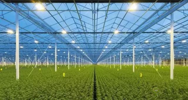 荷蘭農(nóng)業(yè)值得中國學習的五大經(jīng)營模式