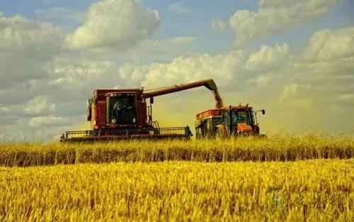 中國農(nóng)業(yè)重點發(fā)展收貨和采摘機器人