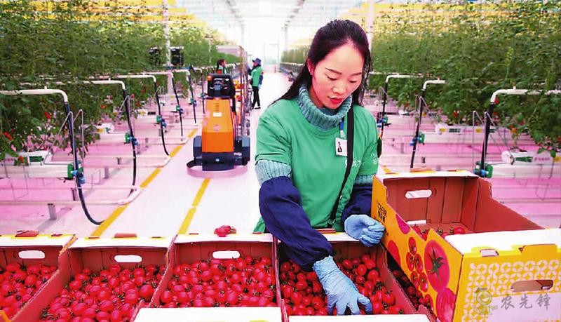 眉山大力推進智慧農(nóng)業(yè)