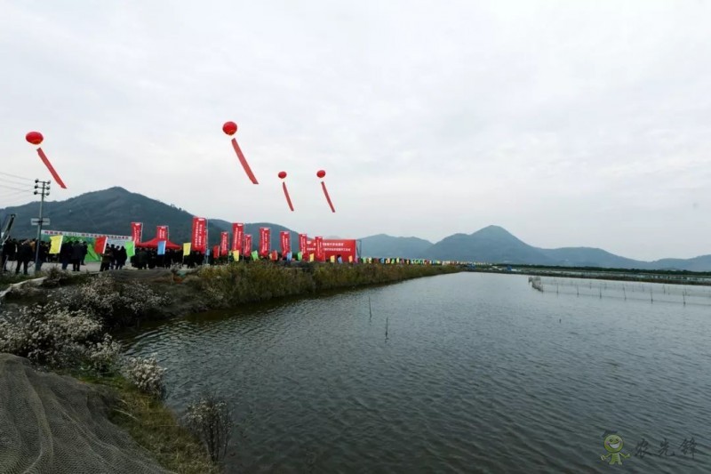 網(wǎng)易味央（三門）現(xiàn)代農(nóng)業(yè)示范園正式開工！