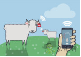 物聯(lián)網應用在農業(yè)領域中的價值探討