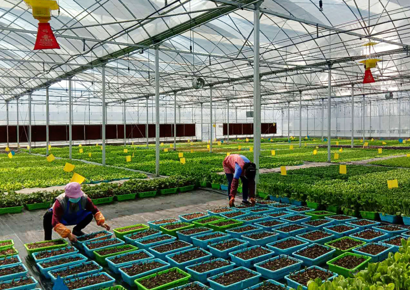 陜西加快構(gòu)建現(xiàn)代農(nóng)業(yè)“三大體系”