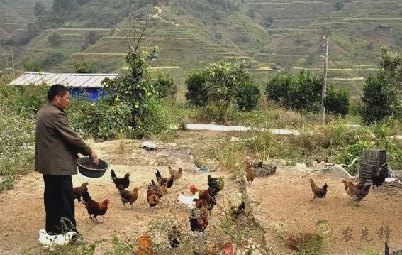 陳錫文：發(fā)展現(xiàn)代農(nóng)業(yè)，意味著要消滅小農(nóng)戶嗎？