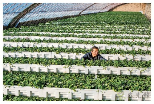 西省晉中市太谷縣國家現(xiàn)代農(nóng)業(yè)產(chǎn)業(yè)園