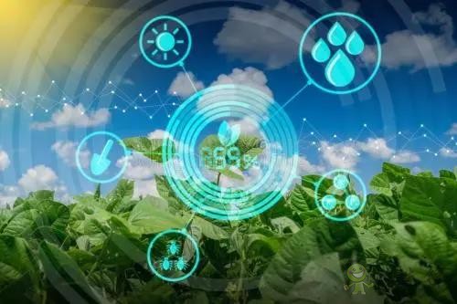 數(shù)字農(nóng)業(yè)的發(fā)展趨勢與推進路徑