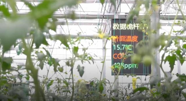 農(nóng)業(yè)機器人