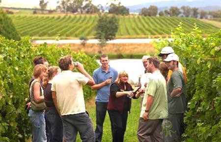 農(nóng)業(yè)模式