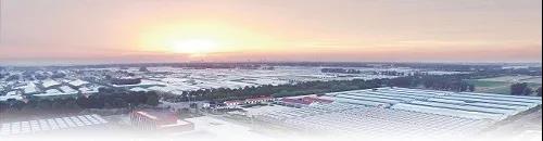 ?鄉(xiāng)村振興，壽光答卷