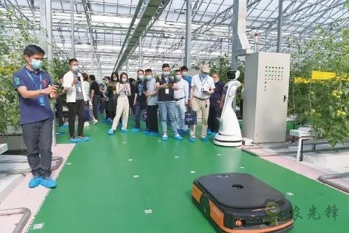 ?鄉(xiāng)村振興，壽光答卷