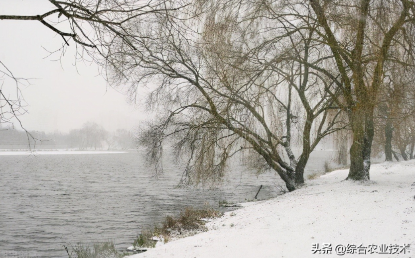 玉米地病蟲害越來越重，冬季閑了有辦法預(yù)防病蟲害嗎？