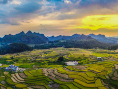 【縣域農(nóng)業(yè)】縣域是未來農(nóng)業(yè)品牌建設(shè)的主戰(zhàn)場!