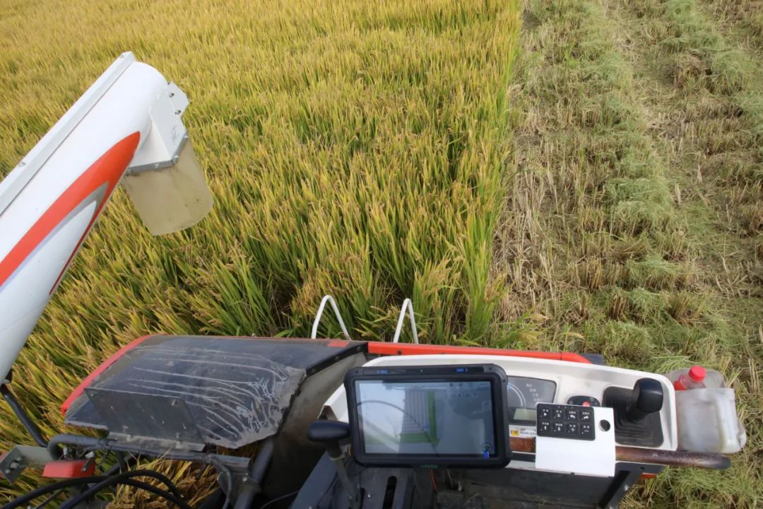 嘉定：“無(wú)人化秋收”提高作業(yè)效率