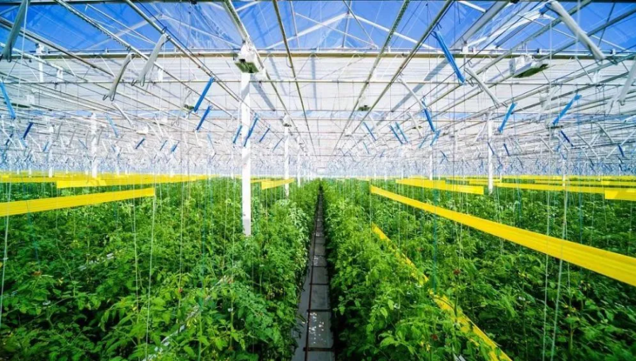 智慧農(nóng)業(yè)迎來4大趨勢！發(fā)展5步路線圖清晰出爐！