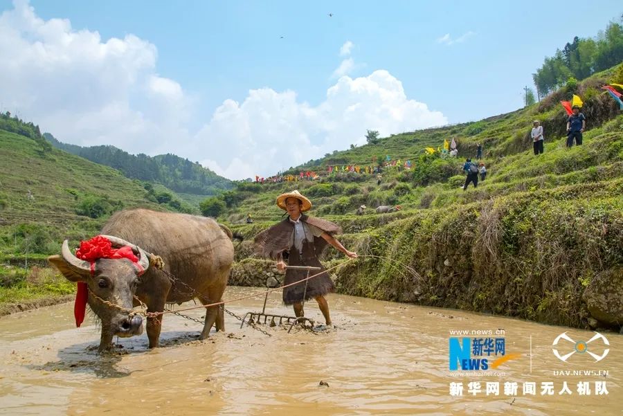 王克修：共同加強“農(nóng)業(yè)文化遺產(chǎn)保護”