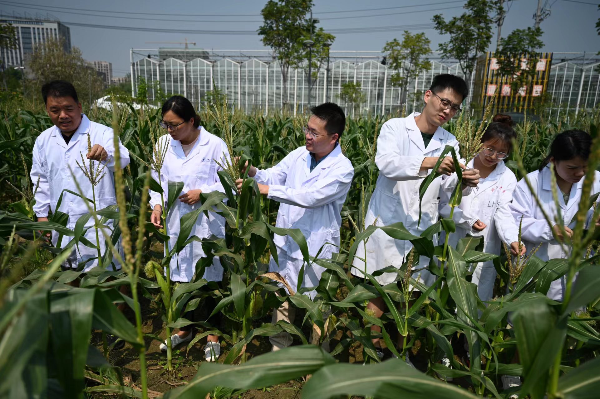 農(nóng)業(yè)科技能否迎來投資風(fēng)口？